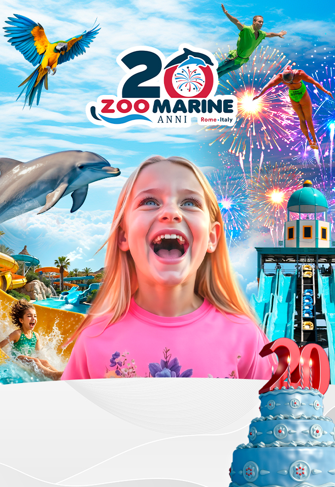 https://www.zoomarine.it/Home/EventoInterna/?url=20-anni-di-zoomarine