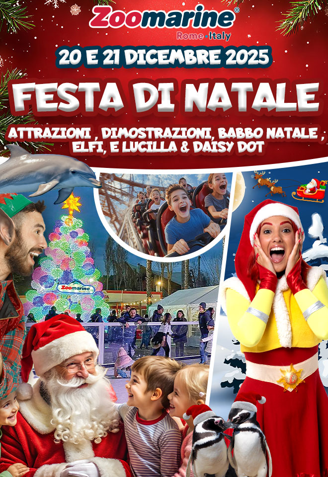 https://www.zoomarine.it/Acquisto/PrezziDinamici
