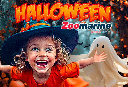 https://www.zoomarine.it/Home/EventoInterna/?url=halloween-a-zoomarine