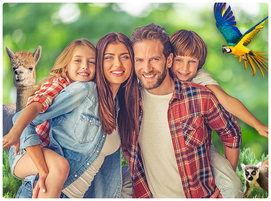 Promozione speciale per la tua famiglia alloggiate per visitare Zoomarine