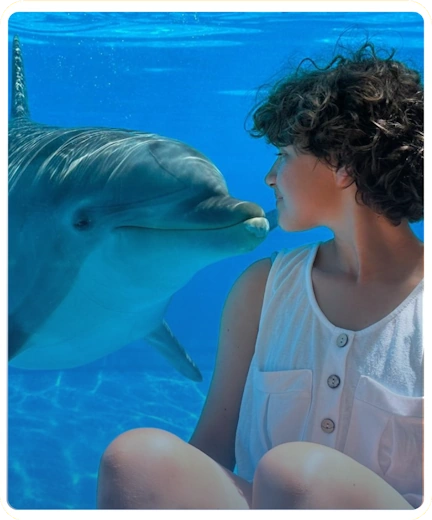 A Zoomarine una ragazza guarda un delfino