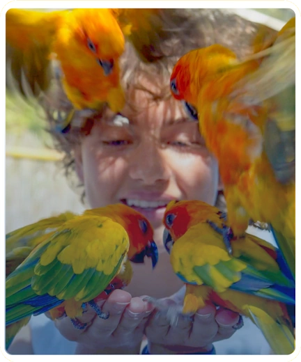 I pappagalli da Zoomarine