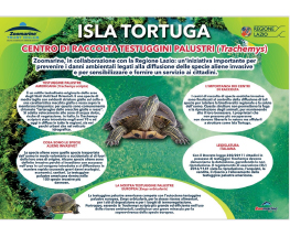 Isla Tortuga