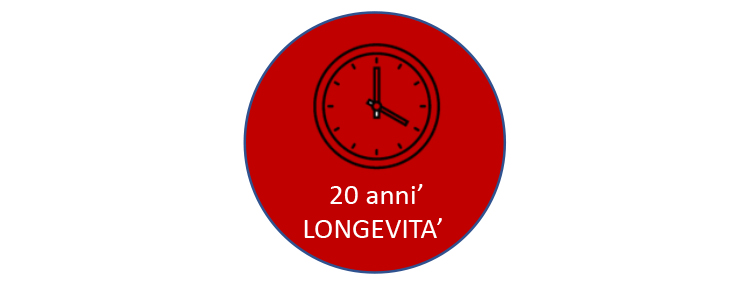 Leone marino della Patagonia