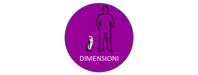 Pinguino sudafricano