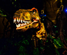 Attività | ERA DEI DINOSAURI