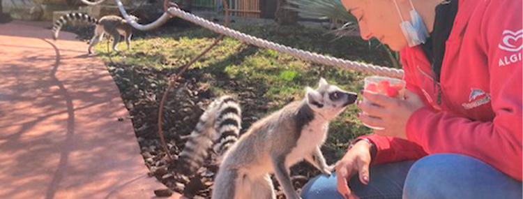 INCONTRA I LEMURI