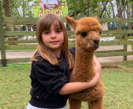 INCONTRA GLI ALPACA