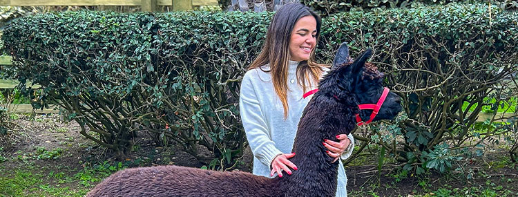INCONTRA GLI ALPACA