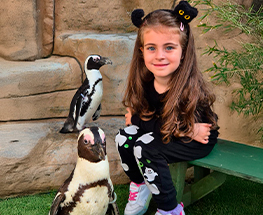 Attività | INCONTRA I PINGUINI