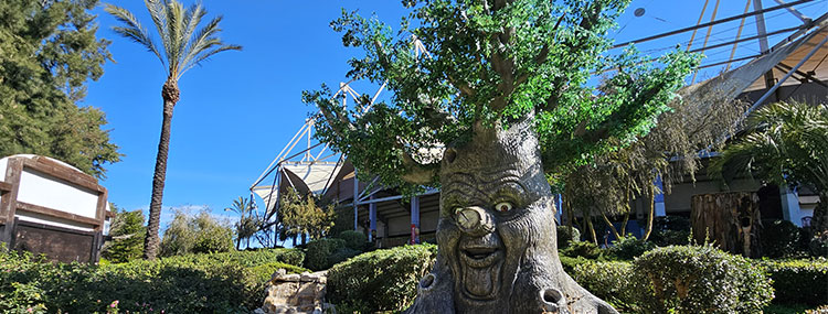 L'ALBERO SAPIENTINO