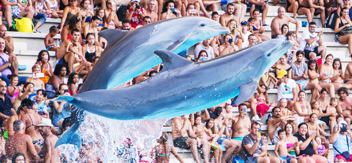 DELFINARIO