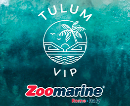 AREA VIP TULUM