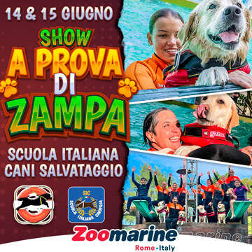 A PROVA DI ZAMPA