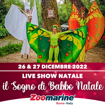 Il Sogno di Babbo Natale