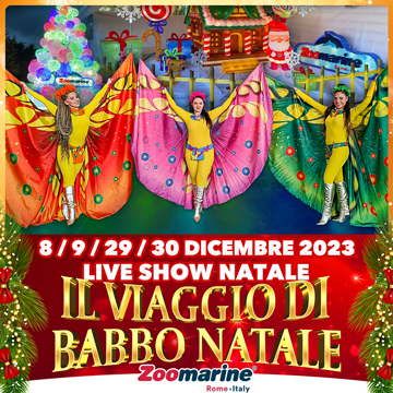 IL VIAGGIO DI BABBO NATALE