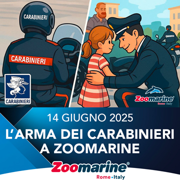 Eventi Zoomarine