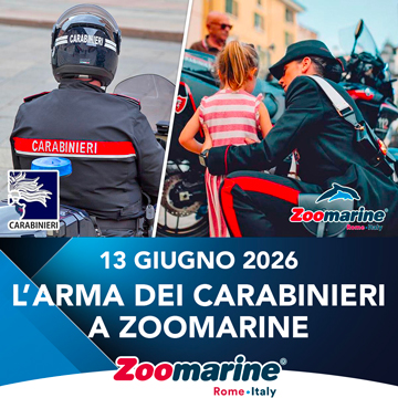 ARMA DEI CARABINIERI A ZOOMARINE