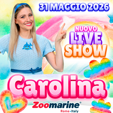 Evento | CAROLINA LIVE SHOW