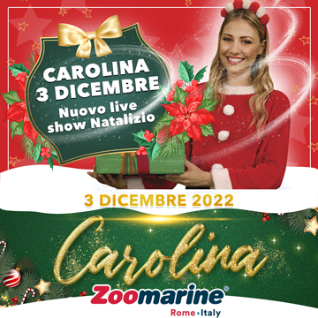 CAROLINA A NATALE