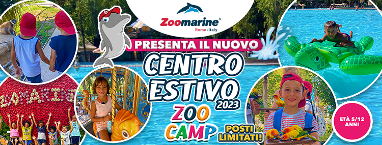 ZOOCAMP