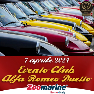 CLUB ALFA ROMEO DUETTO