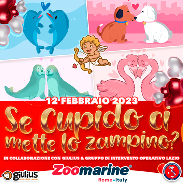 SE CUPIDO CI METTE LO ZAMPINO?