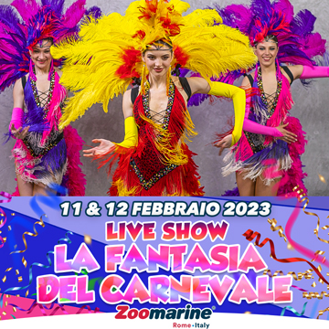 LA FANTASIA DEL CARNEVALE