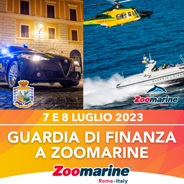 GUARDIA DI FINANZA