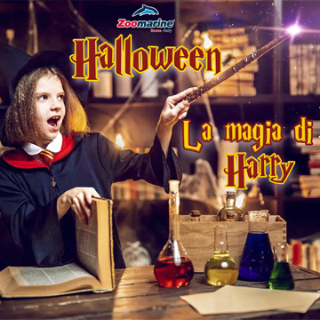 LA MAGIA DI HARRY