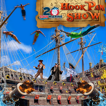 HOOK PAN SHOW