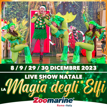 LA MAGIA DEGLI ELFI