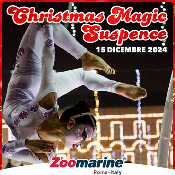 CHRISTMAS MAGIC SUSPENCE