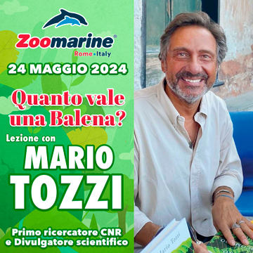 QUANTO VALE UNA BALENA? LEZIONE CON MARIO TOZZI