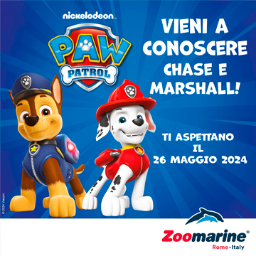 PAW PATROL