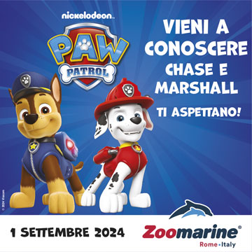 PAW PATROL