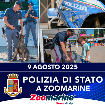POLIZIA DI STATO A ZOOMARINE