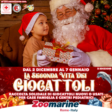 LA SECONDA VITA DEI GIOCATTOLI