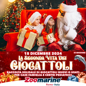 LA SECONDA VITA DEI GIOCATTOLI