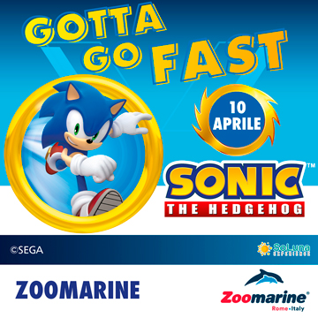 SONIC EXPERIENCE