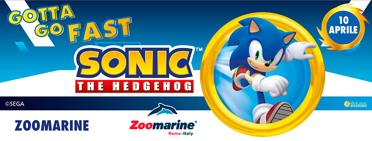 SONIC EXPERIENCE