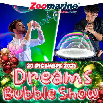 DREAMS BUBBLE SHOW