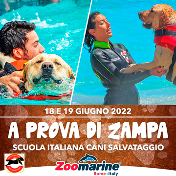 A PROVA DI ZAMPA