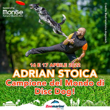 ADRIAN STOICA