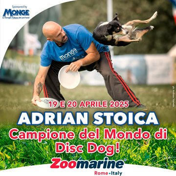 ADRIAN STOICA - CAMPIONE DEL MONDO DI DISC DOG