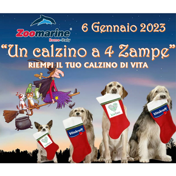 UN CALZINO A 4 ZAMPE