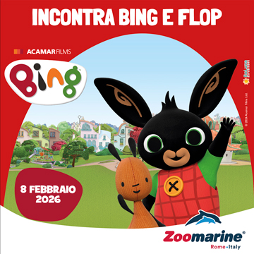 Evento | BING A ZOOMARINE