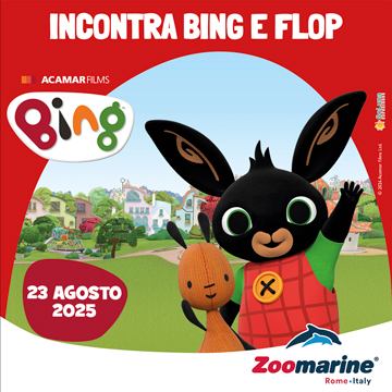 BING E FLOP