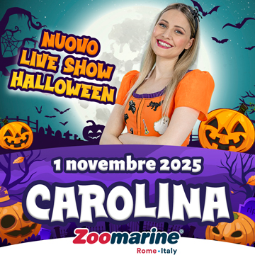 LIVE SHOW CAROLINA