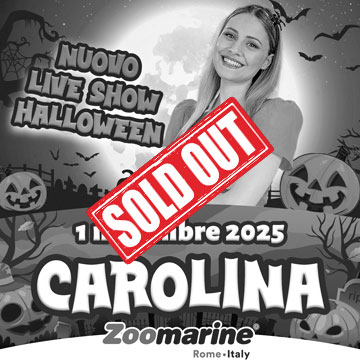 LIVE SHOW CAROLINA